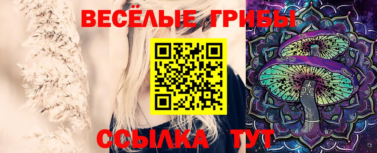 Галлюциногенные грибы ЛСД  Вход с VPN  Обь  Галлюциногенные грибы прущие грибы 