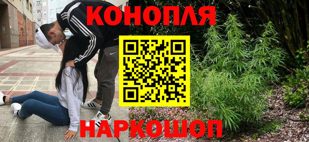 Бошки марихуана Bruce Banner Обь